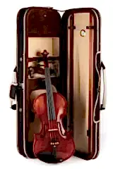 KÖHNER VL-980 Profesyonel El Yapımı Keman 4/4 Tam Boy - Parlak